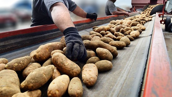 Eliminating Excessive Odor with Tsunami 100 Process Wash Water