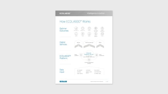  Infographic detailing how ECOLAB3D works. 